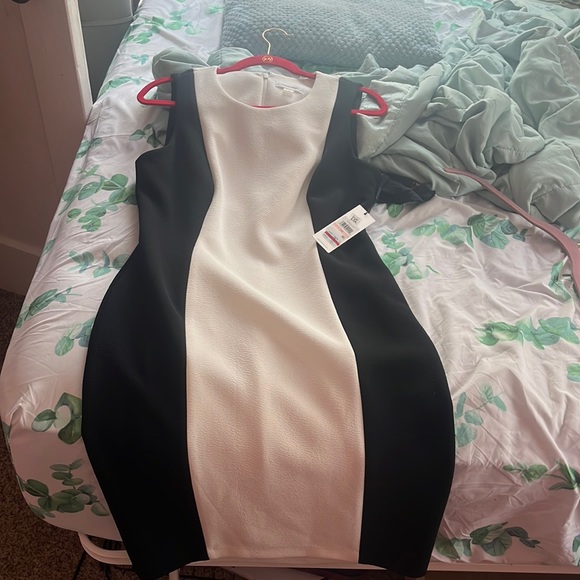 Calvin Klein black & white Dress (Classy, Work, Dates) - Picture 2 of 4